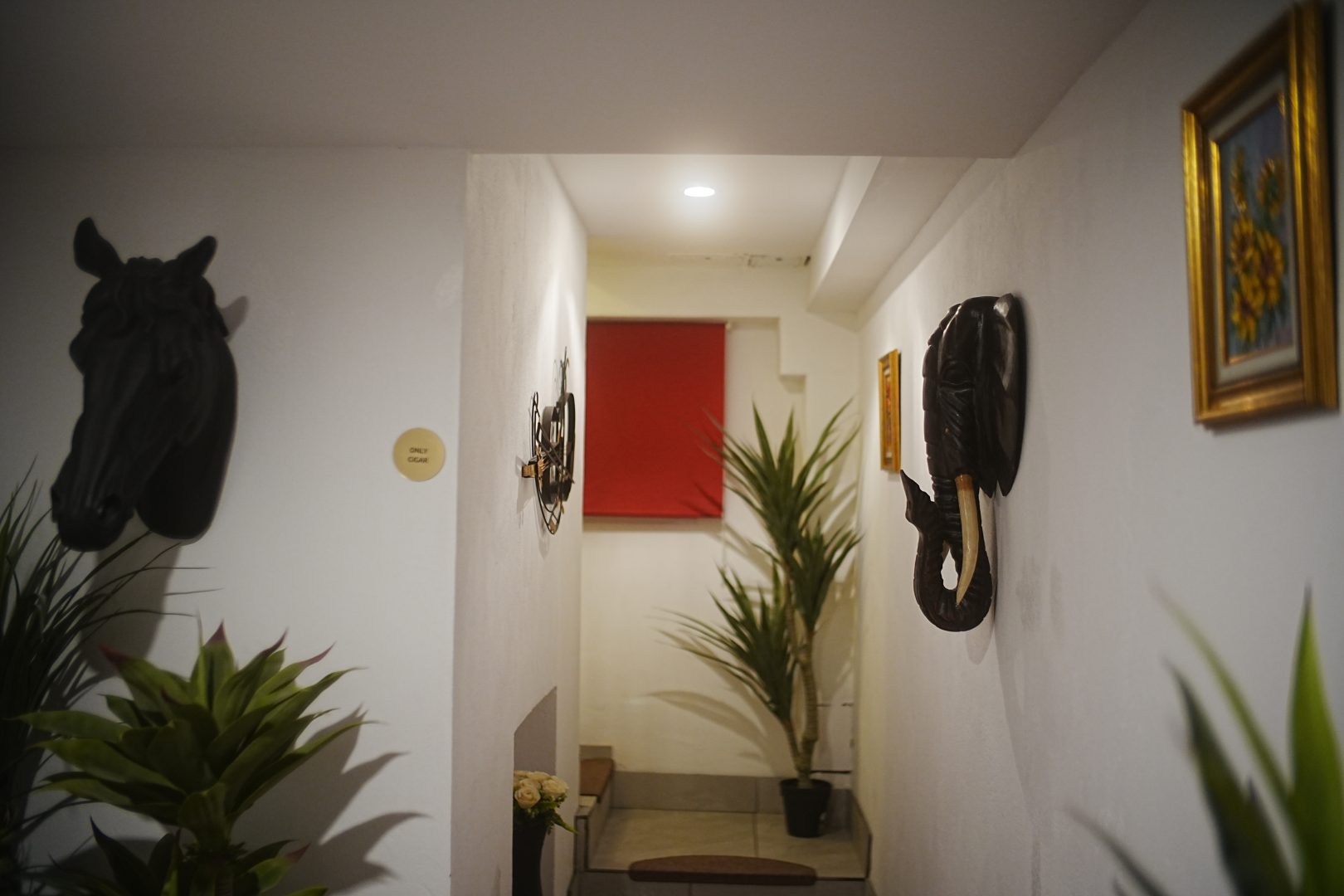 Art. History. Experience. – Descoperă reperele lui Brâncuși în inima Bucureștiului